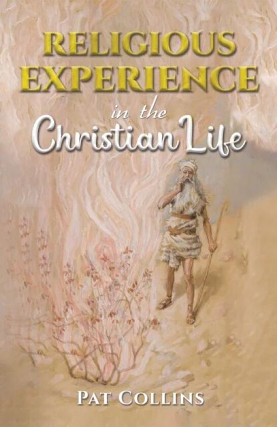 Religious Experience in the Christian Life av Pat Collins