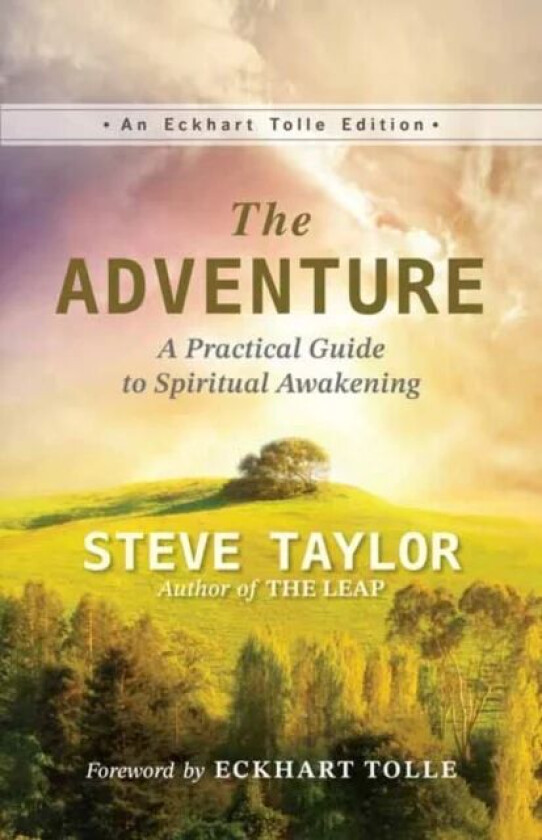 The Adventure av Steve Taylor