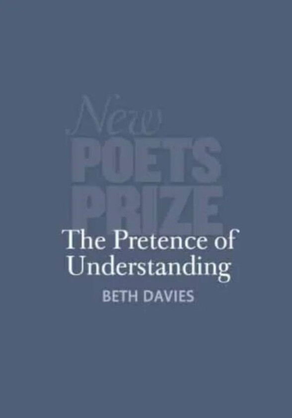 The Pretence of Understanding av Beth Davies