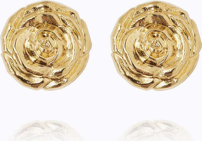 Rosita Earrings Gold