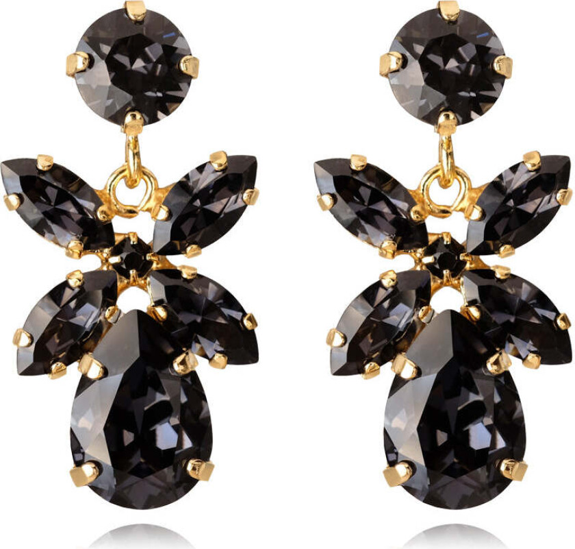 Dione Earrings Gold Graphite