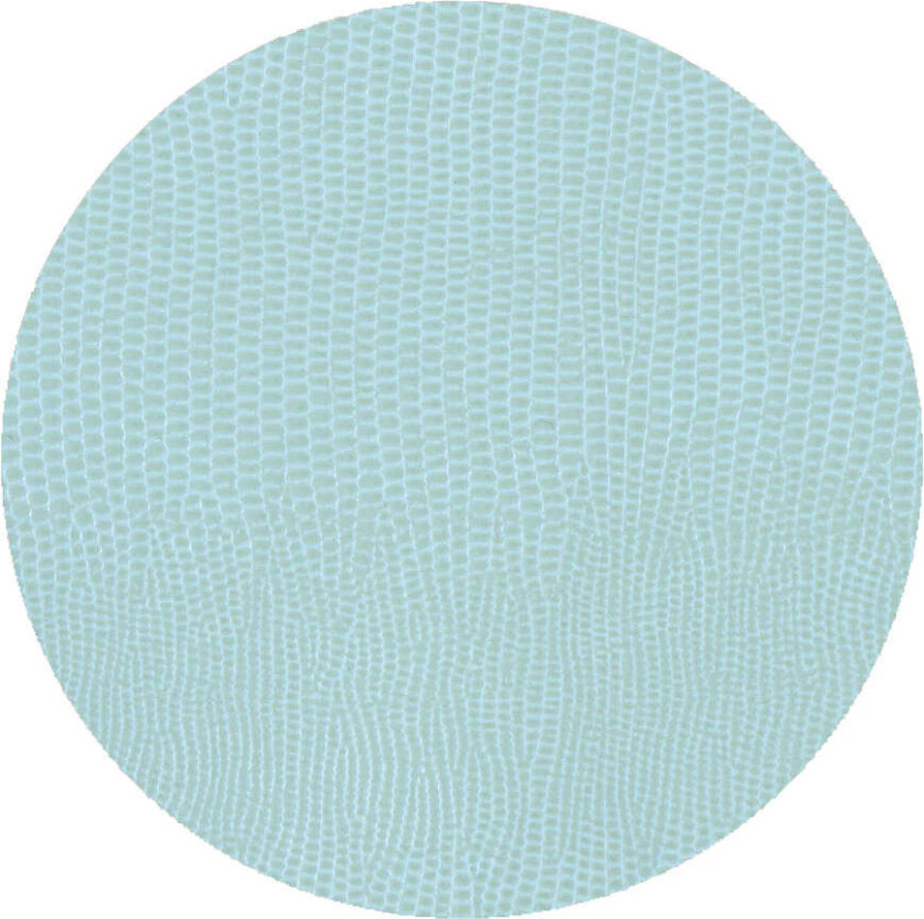 Soft Aqua Lizard Round Coasters