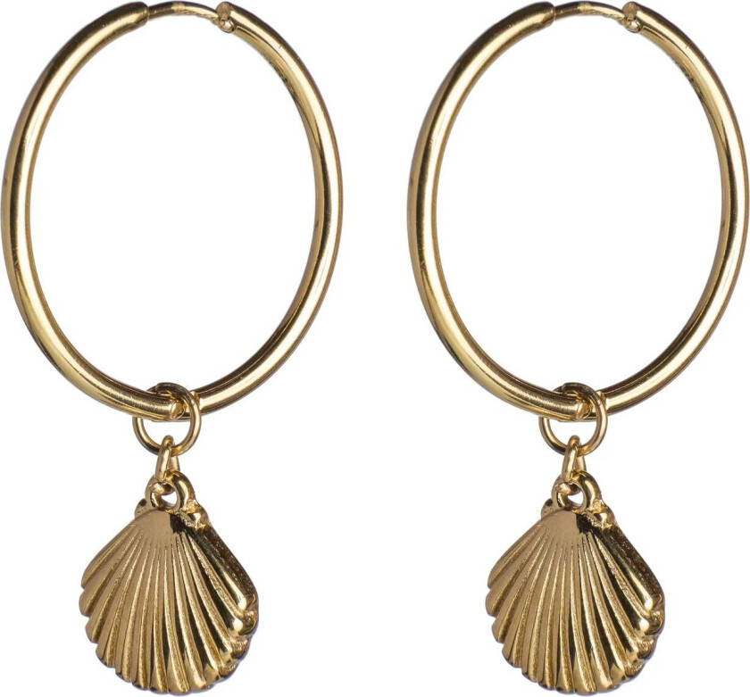 Shell Medium Hoops Gold