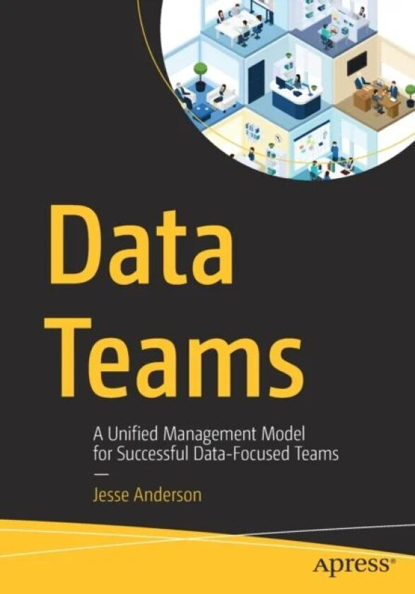 Data Teams av Jesse Anderson