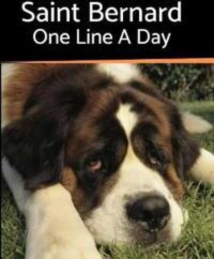 Saint Bernard - One Line a Day