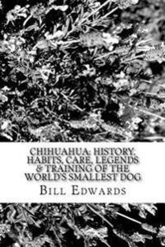 Chihuahua: History, Habits, Care, Legends & Training of the World's Smallest Dog