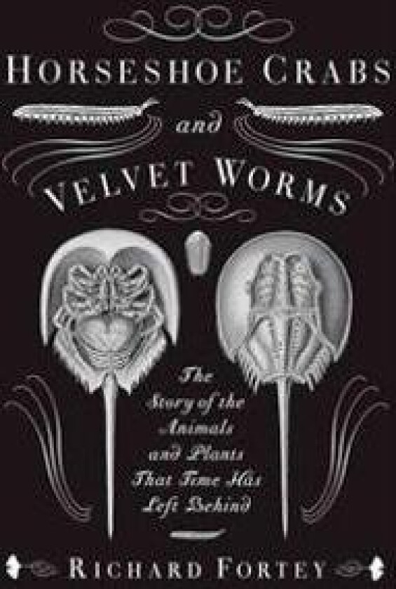 Horseshoe Crabs and Velvet Worms: The Story of the Animals and Plants That Time Has Left Behind