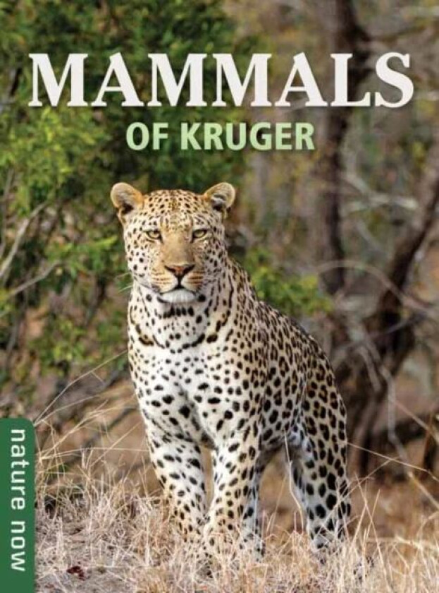 Mammals of Kruger av Joan Young