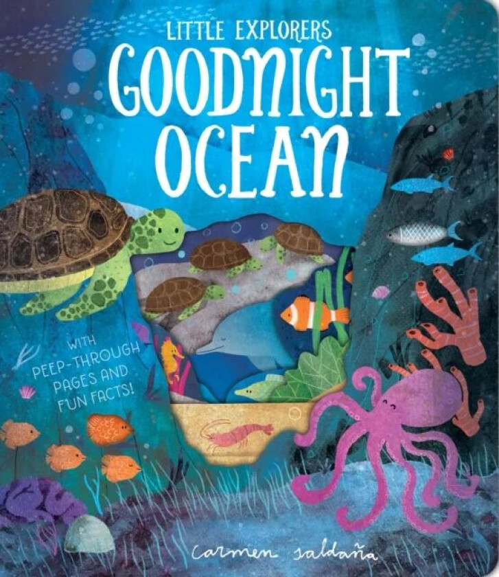 Goodnight Ocean av Becky Davies
