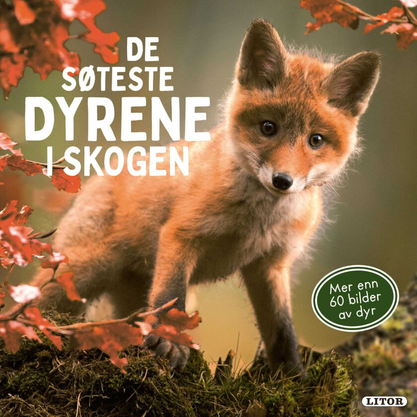 De søteste dyrene i skogen