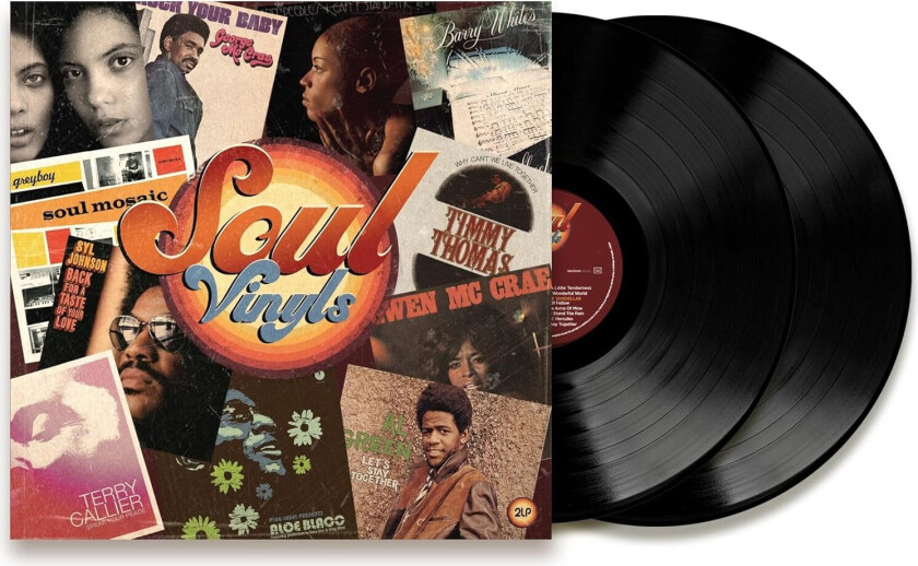 Diverse Soul Soul Vinyls LP/Vinyl