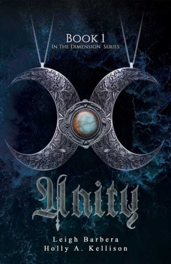 Unity Book 1: In the Dimension Series