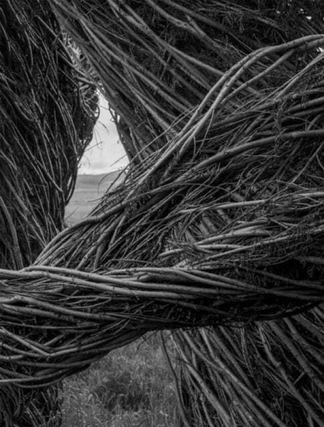 Patrick Dougherty | James Florio: Sticks
