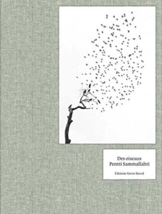 Pentti Sammallahti Des Oiseaux