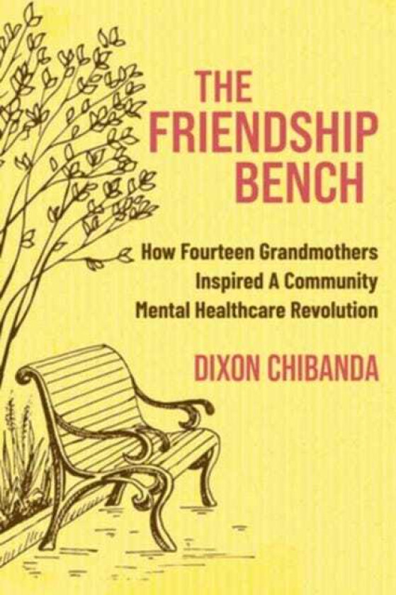 The Friendship Bench How Fourteen Grandmothers Inspired a Community Mental Healthcare Revolution
