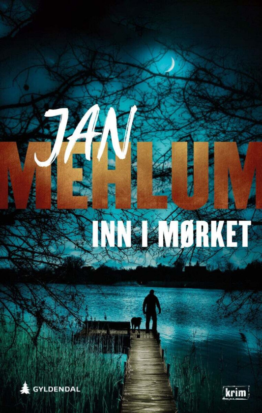 Inn i mørket av Jan Mehlum