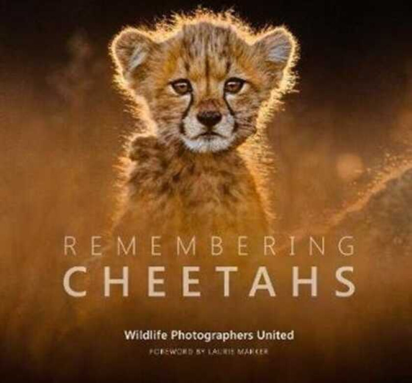 Remembering Cheetahs