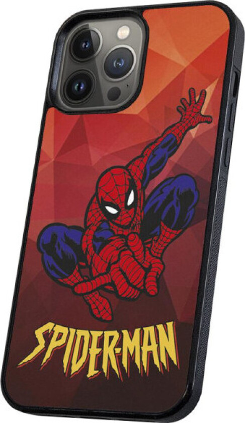 iPhone 13 Pro Max - Deksel/Mobildeksel Spider-Man Multicolor