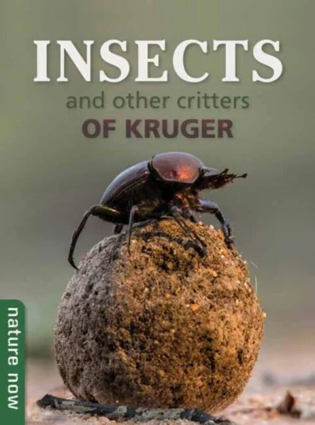 Insects and other Critters of Kruger av Joan Young