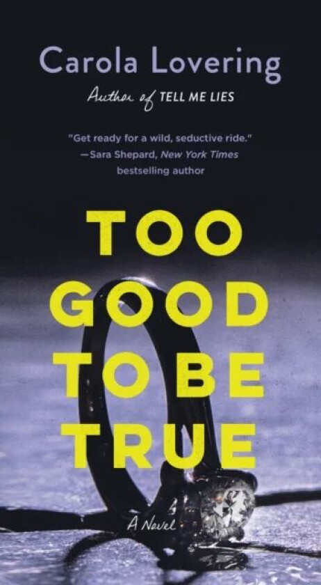 Too Good to Be True av Carola Lovering