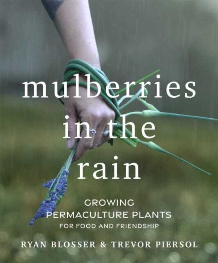 Mulberries in the Rain Growing Permaculture Plants for Food and Friendship