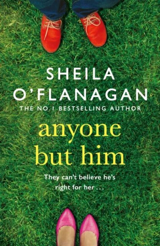 Anyone but Him av Sheila O'Flanagan