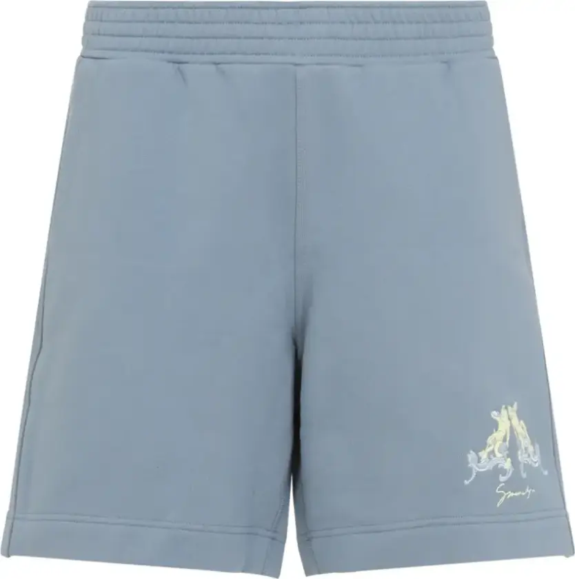 Herre, Shorts, Blå, L