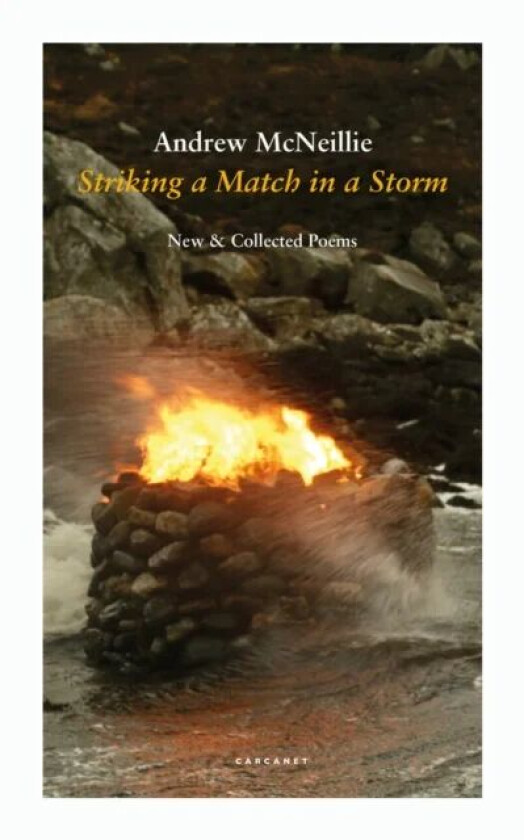Striking a Match in a Storm av Andrew McNeillie