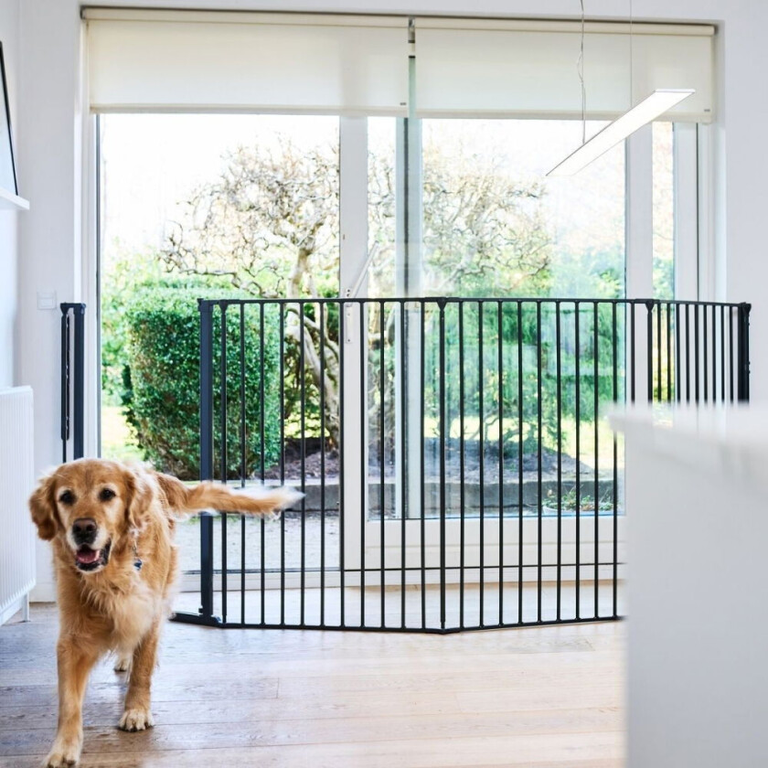Rocky Utdragbar Hundegrind Sort 90-221x104,5 cm