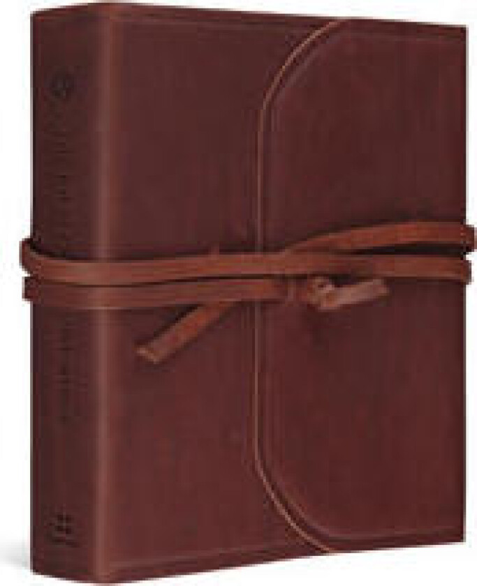 ESV Journaling Study Bible