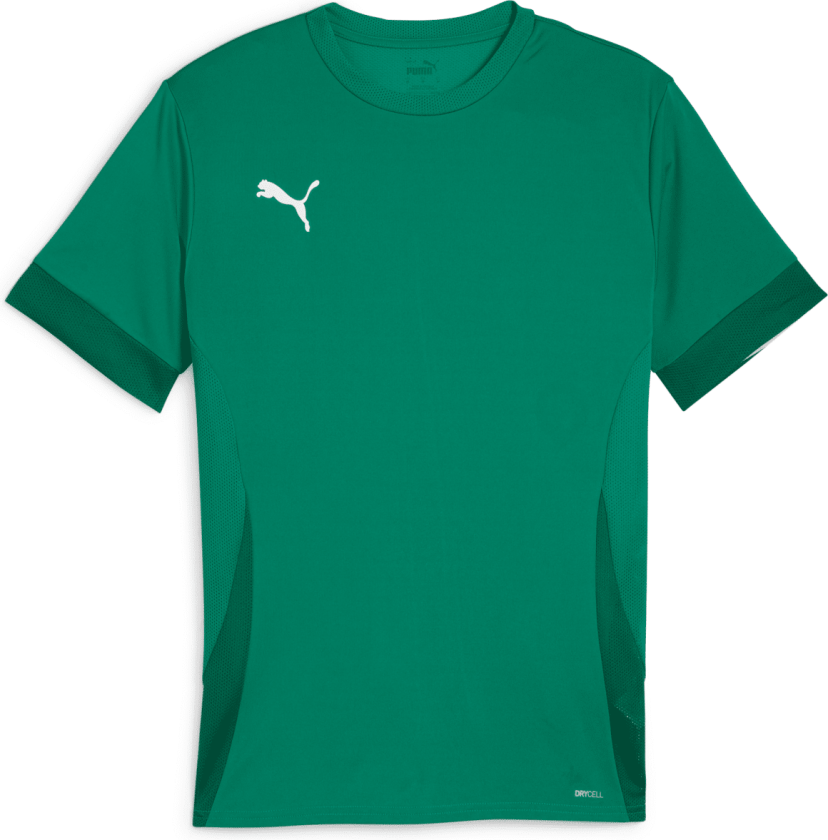 teamGOAL Matchday Jersey, fotballtrøye, herre Green-White-Green