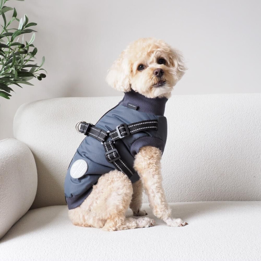 Dogcoat Thor with harness 45cm - Anthracite - L