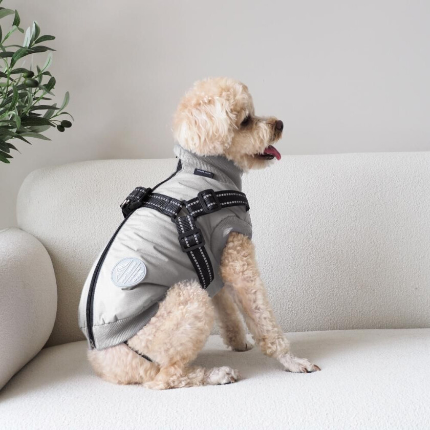 Dogcoat Thor with harness 30cm - Lightgrey - XS