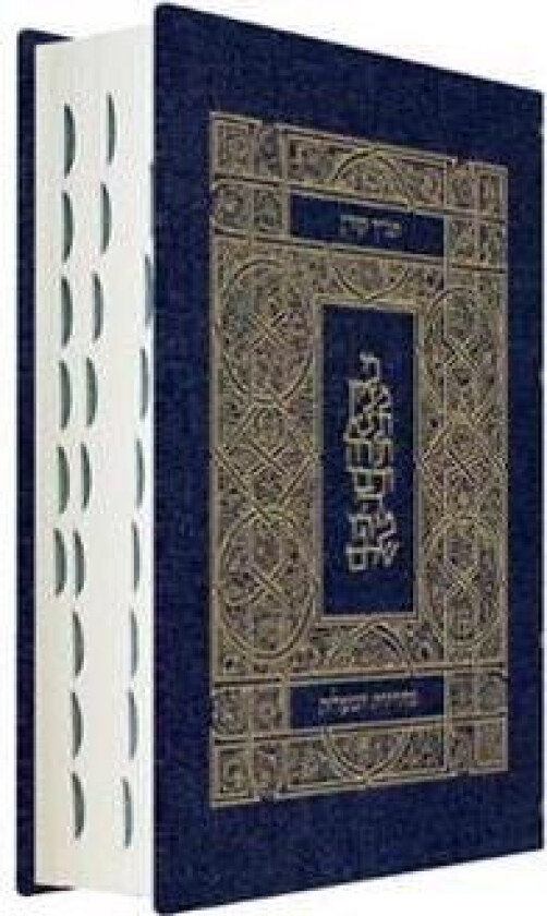 Koren Tanakh Hama'alot Edition, Jeans