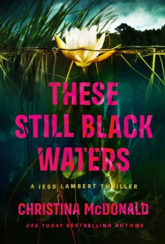 These Still Black Waters av Christina McDonald