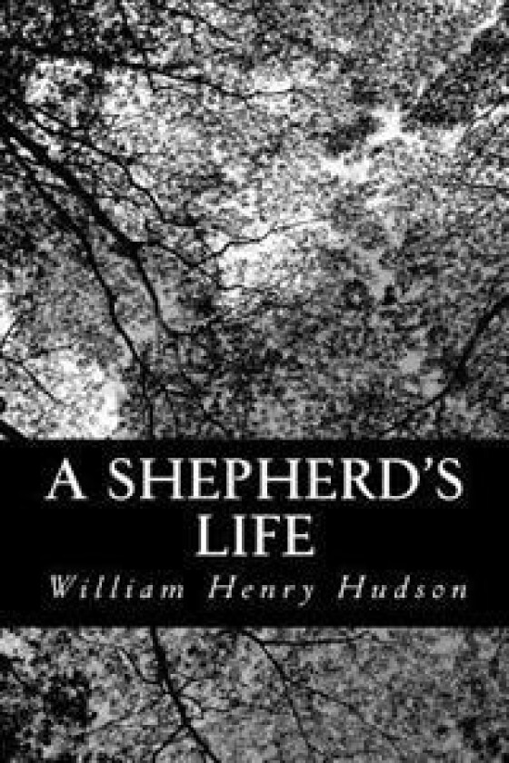 A Shepherd's Life: Impressions of the South Wiltshire Downs