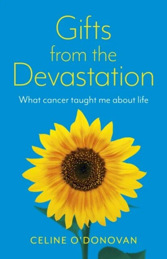 Gifts from the Devastation av Celine O'Donovan