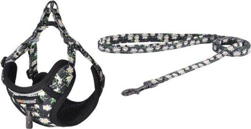 Bilde av walking set leash+harness for dog (multicolor)
