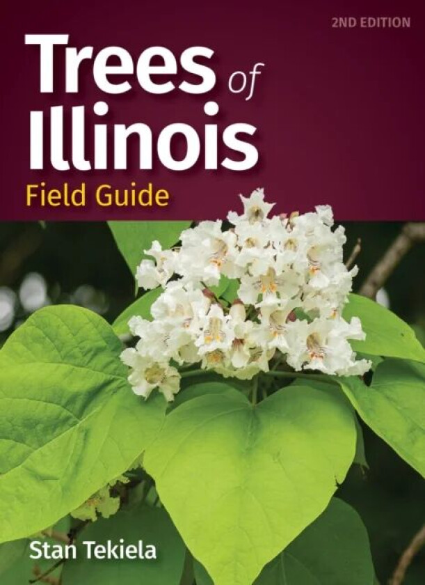 Trees of Illinois Field Guide av Stan Tekiela