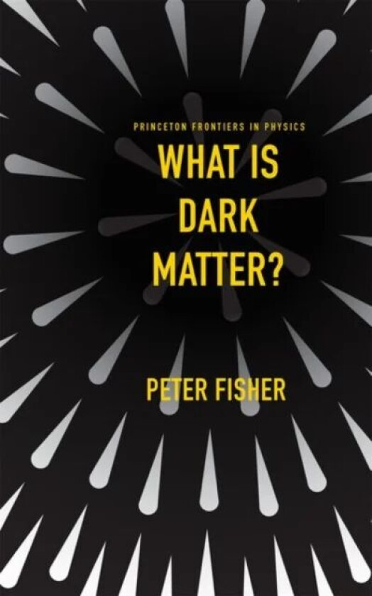 What Is Dark Matter? av Peter Fisher