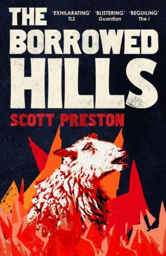 The Borrowed Hills 'A suckerpunch of a novel' Guardian