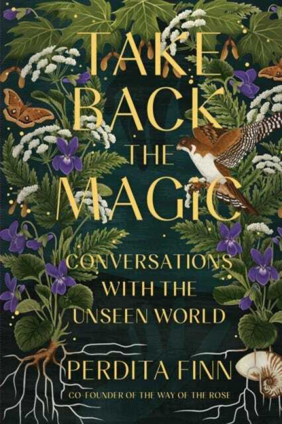Take Back the Magic Conversations with the Unseen World