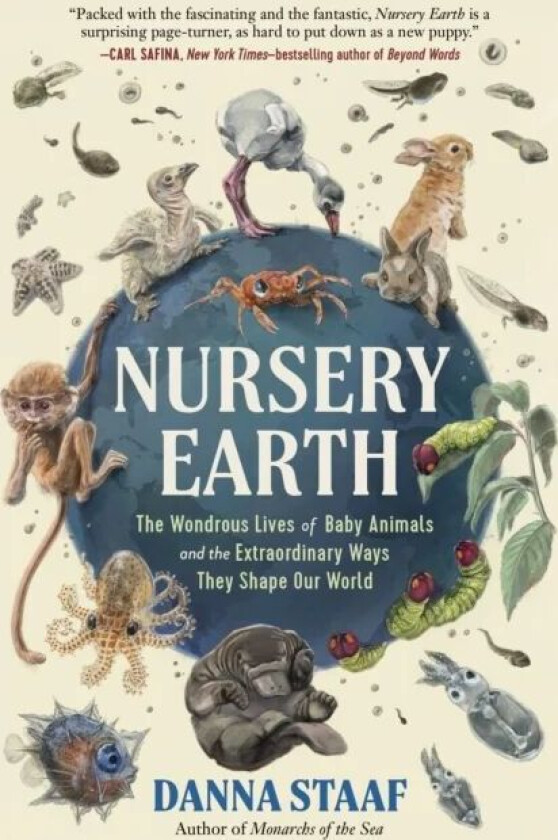 Nursery Earth av Danna Staaf