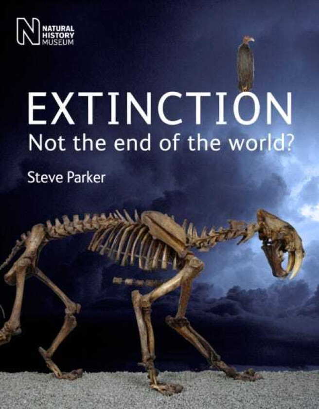 Extinction Not the End of the World?