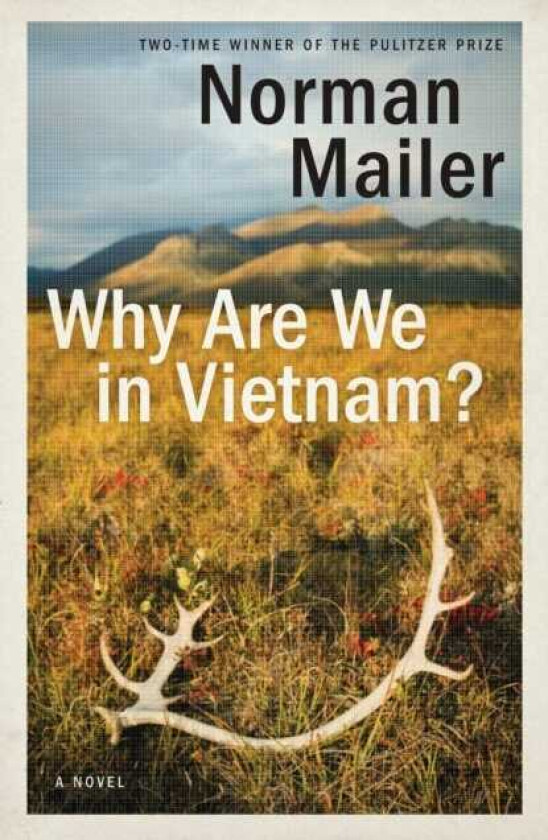 Why Are We in Vietnam? A Novel
