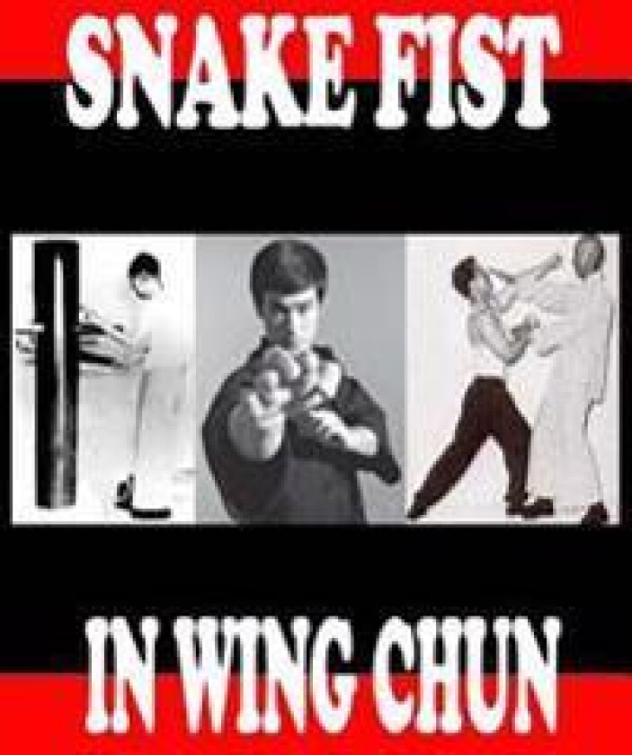 Snake Fist in Wing Chun