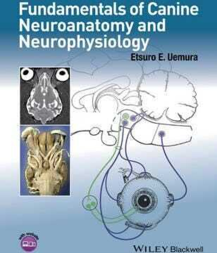 Canine Neuroanatomy