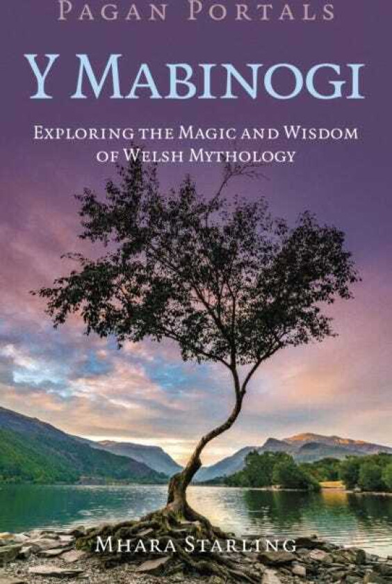 Pagan Portals Y Mabinogi Exploring the Magic and Wisdom of Welsh Mythology
