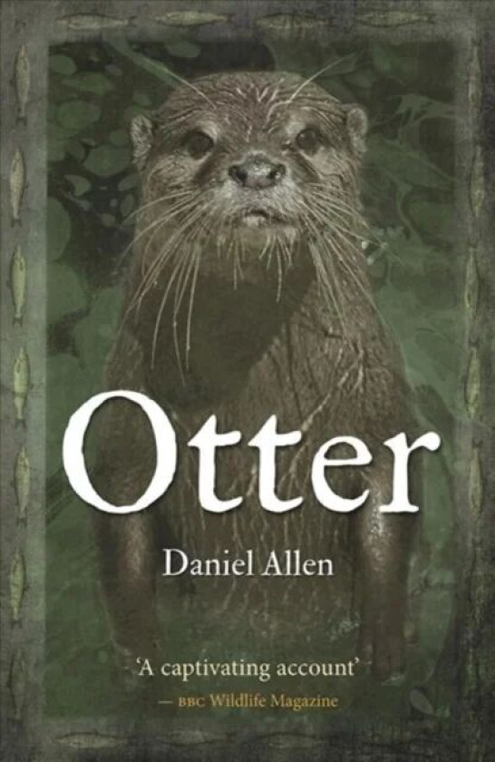 Otter av Daniel Allen