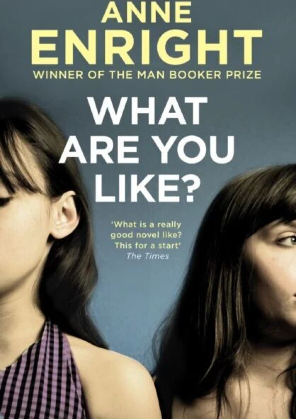 What Are You Like av Anne Enright
